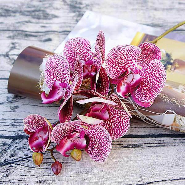 5 st 1 Bukett (6 Huvuden) Plastfjärilsorkidévaser för Heminredning Bröllop Dekorativa Växter Julklappar Låda Konstgjorda Blommor Pink