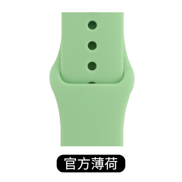 Klockarmband för Apple Watch iWatch 38/40/41/42 S10 ML Extended Officiell Mint