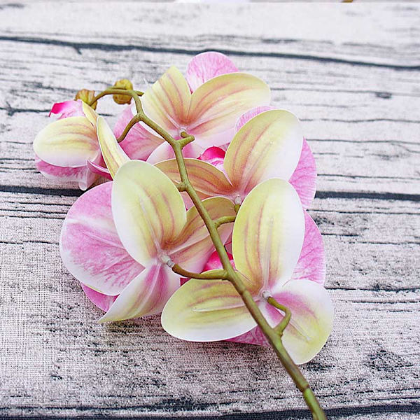 5 st 1 Bukett (6 Huvuden) Plastfjärilsorkidévaser för Heminredning Bröllop Dekorativa Växter Julklappar Låda Konstgjorda Blommor Pink