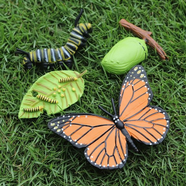 Kognitiva pedagogiska leksaker för barn Simulering Djur Insektsmodell Minidjur Fjäril Tillväxtcykel Ornament Blue