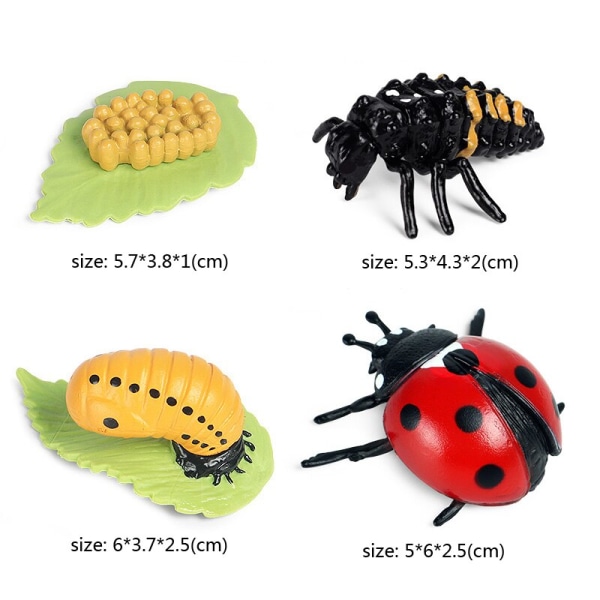 Kognitiva pedagogiska leksaker för barn Simulering Djur Insektsmodell Minidjur Fjäril Tillväxtcykel Ornament Insect growth
