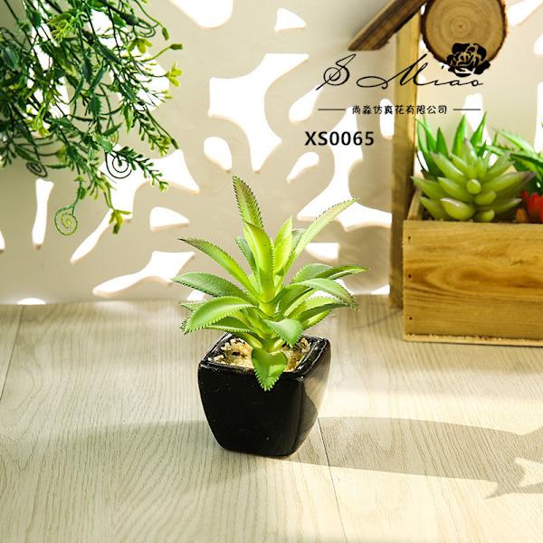 Mini Kunstig Sukkulent Plante Bonsai (Pot Inkluderet) Kreativ Dekoration Kunstig Blomst Yiwu Kunstig Plante Barbed agave Green