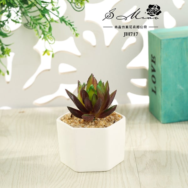 Kunstig sukkulent plante bonsai (potte inkluderet) Kunstig blomst kreativ dekoration kunstig plante JH5695