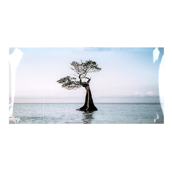 Akvarie Baggrundsplakat, PVC Selvklæbende Akvarietapet, Træ i Havet Stil, 61x41cm/24x16.1inch