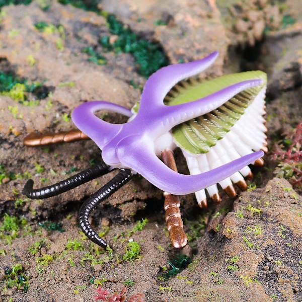 Marin Djurmodell Förhistorisk Trilobit Räka Krysantemum och Sten Kambrisk Nautilidae Plattfot Krabba Barn Pedagogisk Leksaksmodell BY-TPR ocean 7-style suit