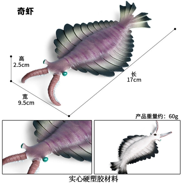 Marin djurmodell Förhistorisk trilobit räkor Krysantemum och sten Kambrium Nautilidae Tallrik Fotkrabba Barn Undervisning leksaksmodell 2pcs/starfish 1