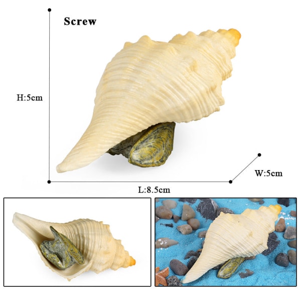 Conch Marine Life Model Barns vetenskap och utbildning Kognitiva lärande leksaker M-2609 conch
