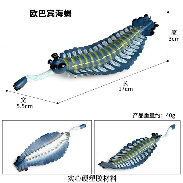 Marin Djurmodell Förhistorisk Trilobit Räka Krysantemum och Sten Kambrisk Nautilidae Plattfot Krabba Barn Pedagogisk Leksaksmodell BY-TPR ocean 7-style suit