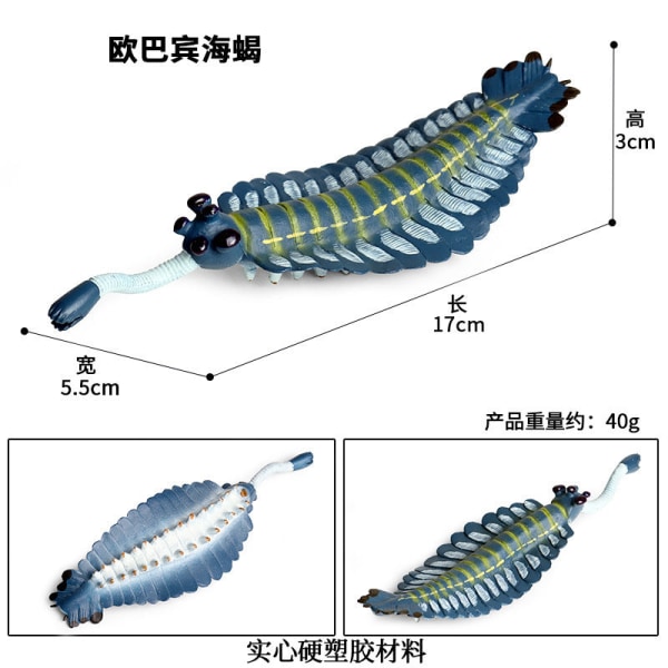 Marin djurmodell Förhistorisk trilobit räkor Krysantemum och sten Kambrium Nautilidae Tallrik Fotkrabba Barn Undervisning leksaksmodell Ancient Ocean 11 suit