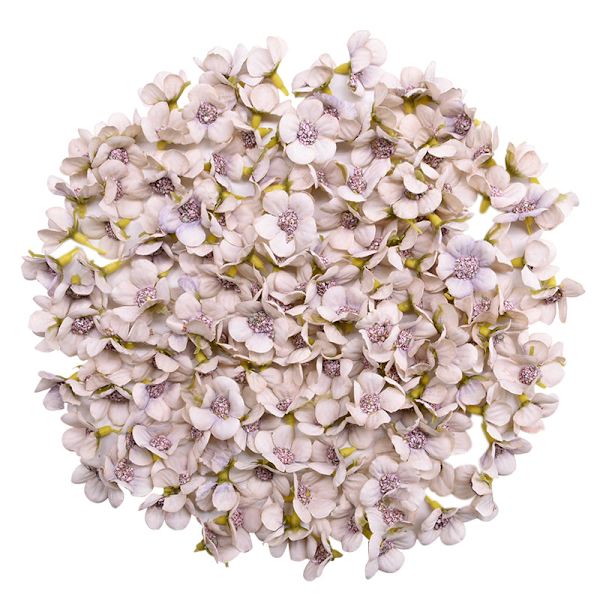 50 st 2 cm Flerfärgade Tusensköna Blomhuvuden Mini Konstgjorda Sidenblommor för Krans Scrapbooking Hem Bröllopsdekoration F11