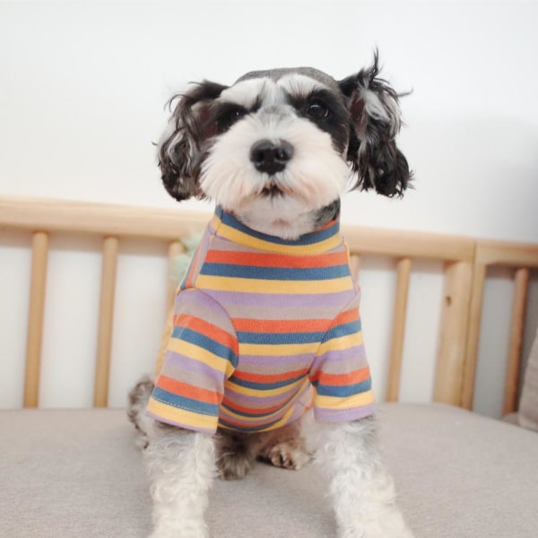 Kjæledyrklær Hund Høst Vinter Klær Strikket Stripe Purple stripes 2XL