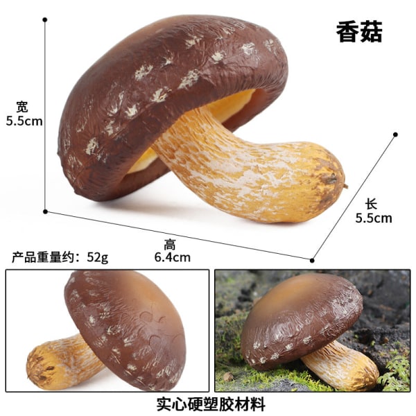 19 st/ set Svampmodell Grönsaksrekvisita Barnpussel Leksak Dekoration Dekoration Scen rekvisita M-2135 Amanita verna