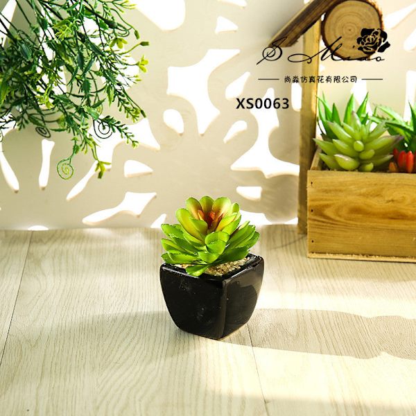 Mini Kunstig Sukkulent Plante Bonsai (Pot Inkluderet) Kreativ Dekoration Kunstig Blomst Yiwu Kunstig Plante Buddha lotus Green red core