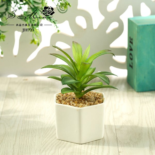 Konstgjord Suckulent Växt Bonsai (Kruka Ingår) Konstgjord Blomma Kreativ Dekoration Konstgjord Växt Barbed Tequila Green
