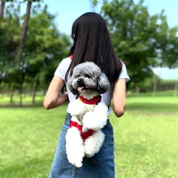 Denim Åndbar Transporttaske til Små Hunde Katte Rejse Hvalp Hund Kat Rygsæk Yorkshire Shih Tzu mascotas Bæretilbehør 7 XXL-suit 6.5-8kg