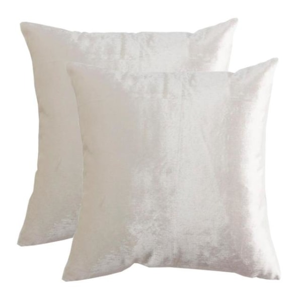 2-pack Guld Dekorativa Kuddfodral Överdrag för Soffa Säng Modern Lyx Enfärgad Sammet Hem Kuddöverdrag Silver 2 Packs 60CM X 60CM Silver