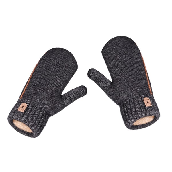 Vinter Dubbla Lager Handskar Plus Sammet Förtjockning Herrhandskar Student Utomhus Cykling Varma och Kalla Hel Finger Vantar Llight gray One Size