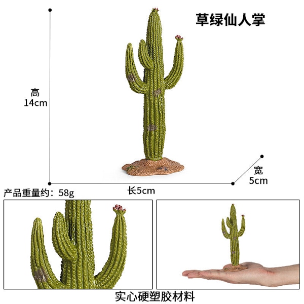 Mikro Landskab Plante Dekoration Simulation Kaktus Baobab Æbletræ Stenhave Sandbord Scene Dekoration Træmodel M-101 ancient tree