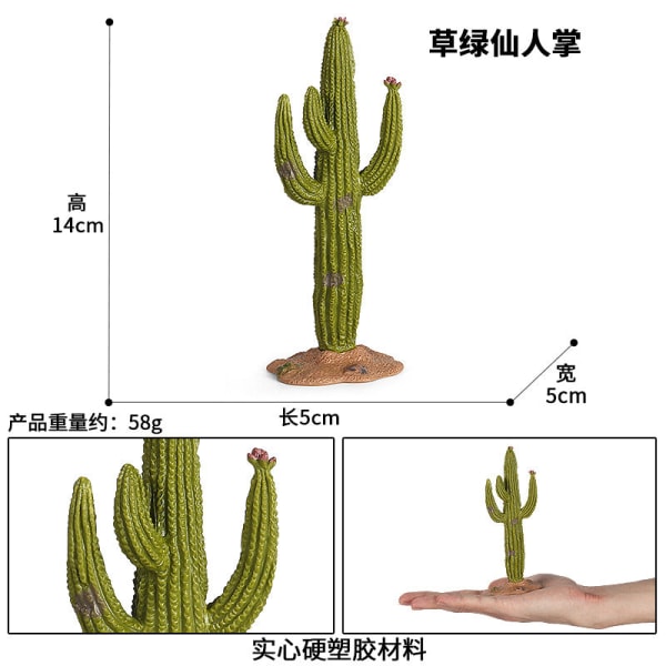 Mikromaisema Kasvikoriste Simulaatio Kaktus Baobab Omenapuu Kivikko Hiekkalaatikko Maisemakoriste Puumalli M107 round petal cactus