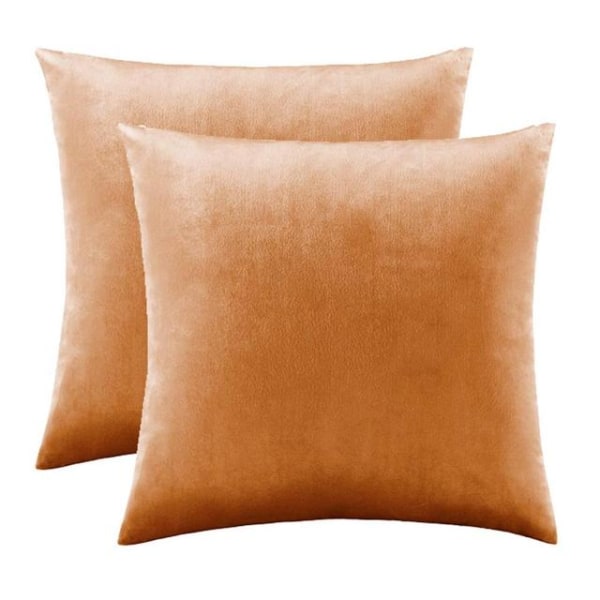 2-pack Guld Dekorativa Kuddfodral Överdrag för Soffa Säng Modern Lyx Enfärgad Sammet Hem Kuddöverdrag Silver 2 Packs 50CM X 50CM Silver