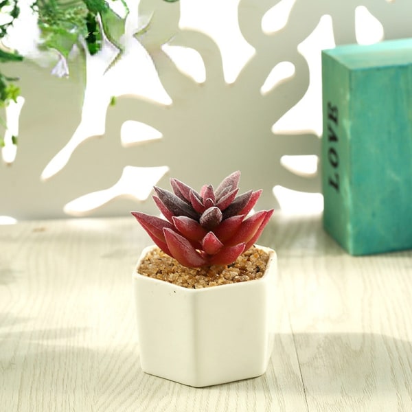 Kunstig sukkulent plante bonsai (potte inkluderet) Kunstig blomst kreativ dekoration kunstig plante Tianshan snow lotus autumn color