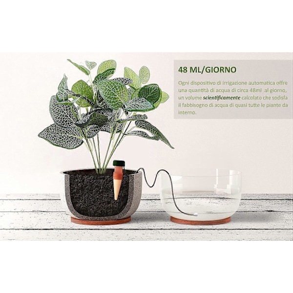 Drypvandingssæt (10 stk.) - Sonde til selvvandende stueplanter, blomster og bonsai - Apparat til hjemlig, automatisk og videnskabelig vanding