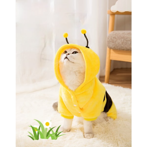 Katte Tøj Sød Bi Kat Kæledyrskostume Kæledyrstøj Yellow 2XL