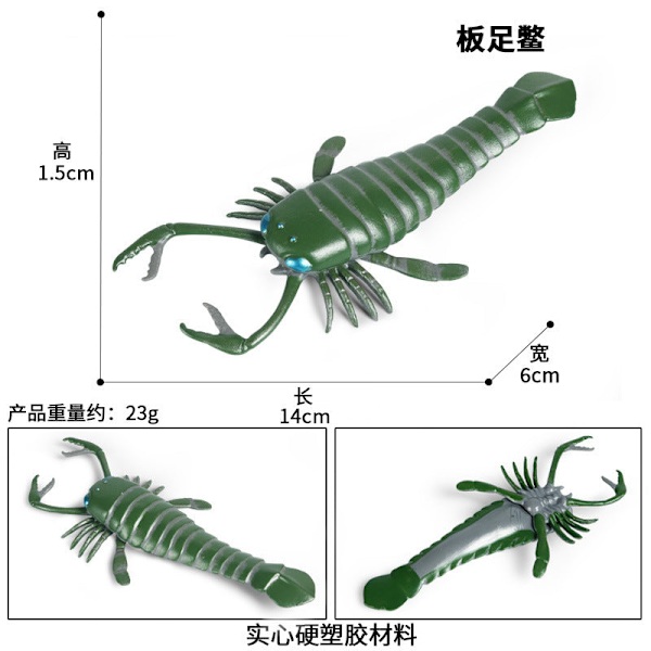 Marin Djurmodell Förhistorisk Trilobit Räka Krysantemum och Sten Kambrisk Nautilidae Plattfot Krabba Barn Pedagogisk Leksaksmodell M-1195 obbinhai Scorpion