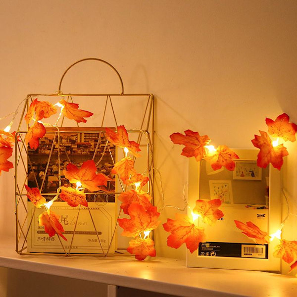 Garland Lyslenke Batteridrevet Rødt Lønneblad Thanksgiving Dekor Lampe Fairy Lyslenke for Hjemme Ferie Festbelysning Warm white Battery-3M-20LED
