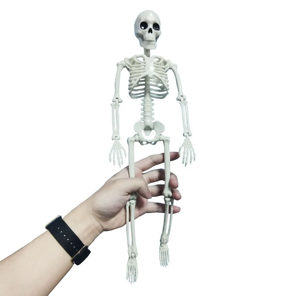 Människor Aktiv modell skelett Anatomi Skelett Skelettmodell Medicinsk inlärning Halloween-fest Dekoration Skelett Konstskiss 1 Pcs