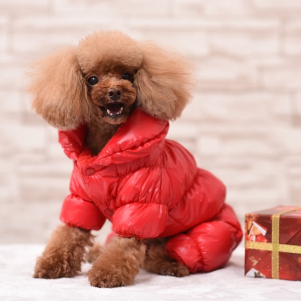 Hundkläder Varma Husdjurskläder Vinter Hunddräkt Husdjursjacka för Små Mellanstora Stora Hundar Chihuahua Bulldog Golden M