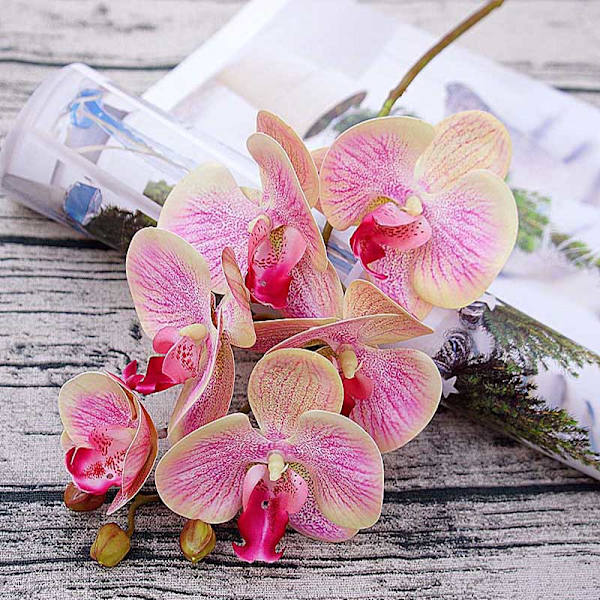 5 st 1 Bukett (6 Huvuden) Plastfjärilsorkidévaser för Heminredning Bröllop Dekorativa Växter Julklappar Låda Konstgjorda Blommor Pink