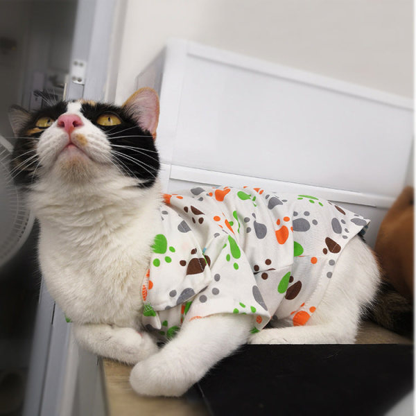 Kæledyrstøj Tegneserie Hawaiisk Bomuldsskjorte Tynd Katteskjorte Green Fox shirt L