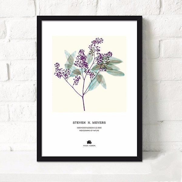 Wekity Pastoral Blomsterväggkonst Canvas Tryck Affisch, Enkel Mode Akvarell Konst Ritning Dekor för Hem Vardagsrum Sovrum Kontor och Barnrum