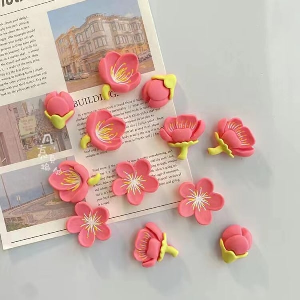 Rosa blomma harts dekorativa kylskåp magnet magneter kreativa whiteboard tecknade magnetiska klistermärken 12pcs mix
