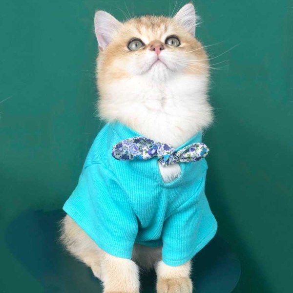 Husdjurskläder Sommartunna kattkläder som andas Blue XL