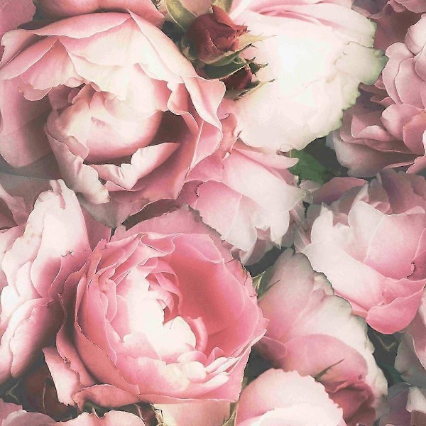 Superfresco Easy Blossom Pink Tapet