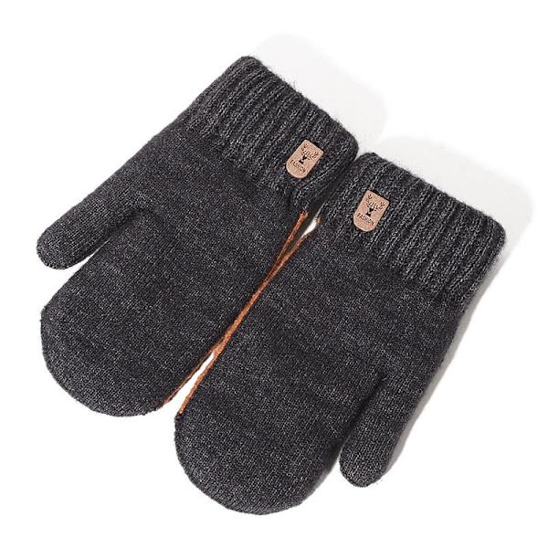 Vinter Dobbeltlags Handsker Plus Fløjl Fortykkelse Herrehandsker Studenter Udendørs Cykling Varme og Kolde Fuld Finger Vanter Llight gray One Size