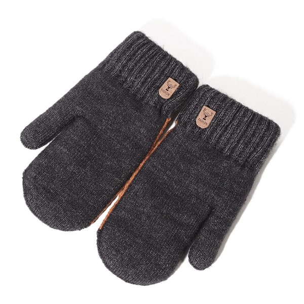 Vinter Dubbla Lager Handskar Plus Sammet Förtjockning Herrhandskar Student Utomhus Cykling Varma och Kalla Hel Finger Vantar Llight gray One Size