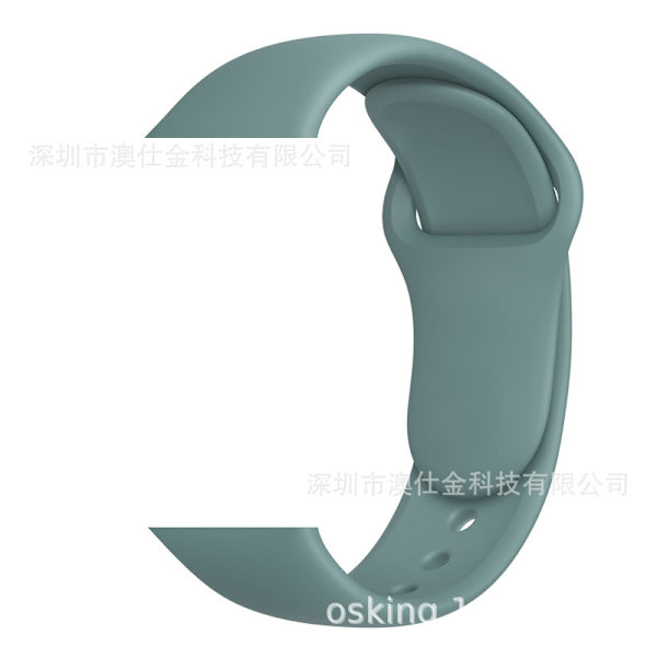 Kellon ranneke Apple Watch iWatch 38/40/41/42 S10 M/L Cactus -kelloon