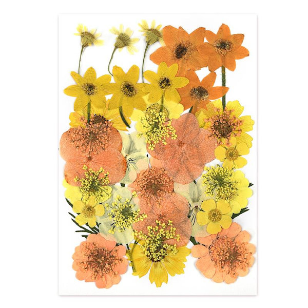 1 pakke tørkede blomster harpiks naturlige blomster klistremerker tørr skjønnhetsdekal for DIY epoksyharpiks fylling smykker dekorasjon 25