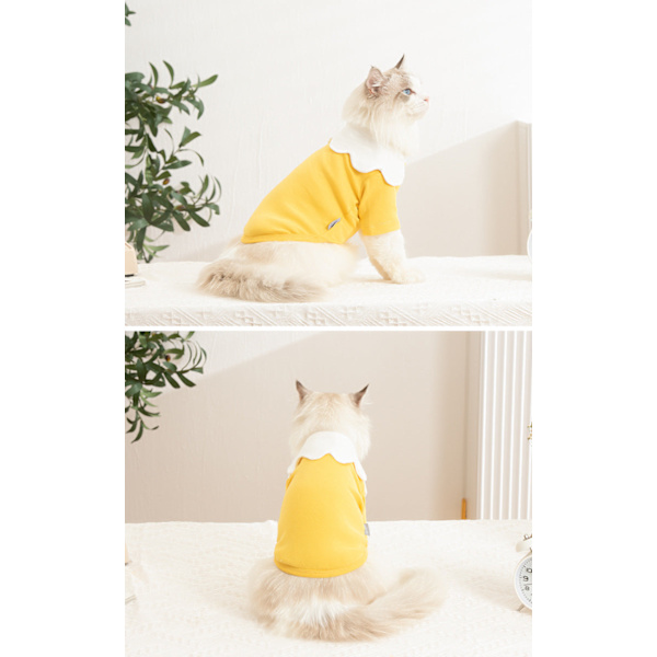 Kevät- ja syyslemmikkivaatteet kukkakauluksella, kissan vaatteet Yellow XL