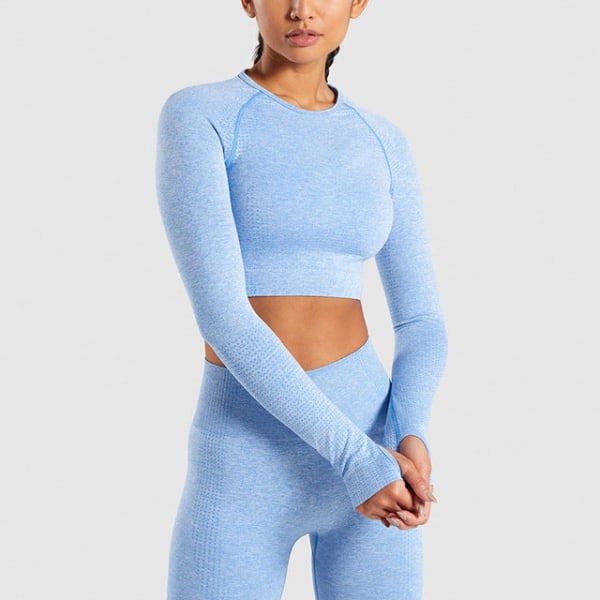 Set Gym Kläder Fitness Leggings+Cropped skjortor Sport Suit Dam blue gray L