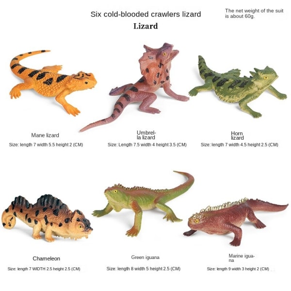 Mini Ocean Tropisk Fisk Model Sæt Simulation Solid Klovnfisk Fe Fisk Rævefisk Børns Undervisningslegetøj DT mini reptiles (6 sets)