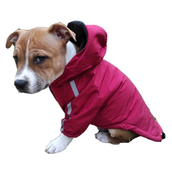 Höst Vinter Husdjur Hund Vattentät Varm Jacka Bomull Hooded Jacka The Dog Face Små Hundar Katt Reflex Husdjurskläder Vinterjacka Red M
