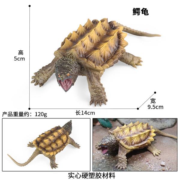 Sötvattensdjur Krokodil Alligatorsköldpadda Sköldpadda Barns Vetenskap och Utbildning Kognitiv Biologisk Modell Leksak Dekoration M-2534 snapping turtle