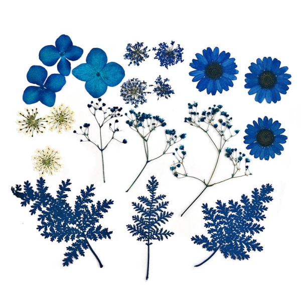 1 pakke tørkede blomster harpiks naturlige blomster klistremerker tørr skjønnhetsdekal for DIY epoksyharpiks fylling smykker dekorasjon 25