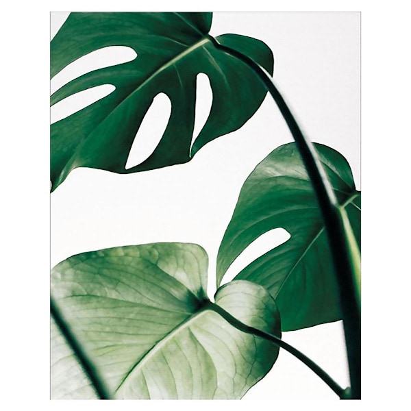 Wekity Ord Kunst og Plante Blad Sammensætning af Kunst Lærredsprint Plakat, Simpel Mode Kunst Tegning Indretning til Hjem Stue Soveværelse Kontor (Sæt med 3 U