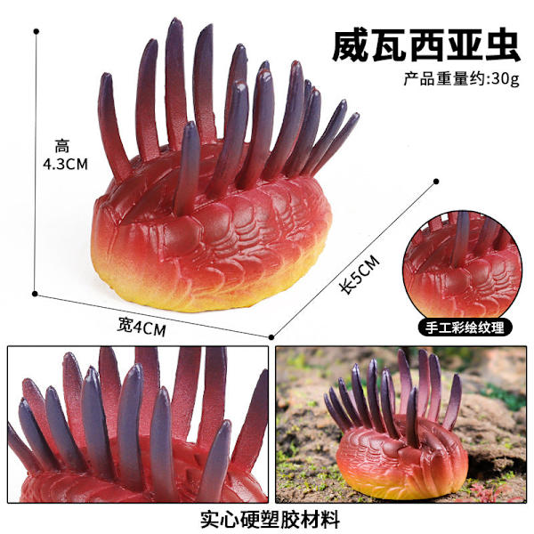 Marin Djurmodell Förhistorisk Trilobit Räka Krysantemum och Sten Kambrisk Nautilidae Plattfot Krabba Barn Pedagogisk Leksaksmodell BY-TPR ocean 7-style suit