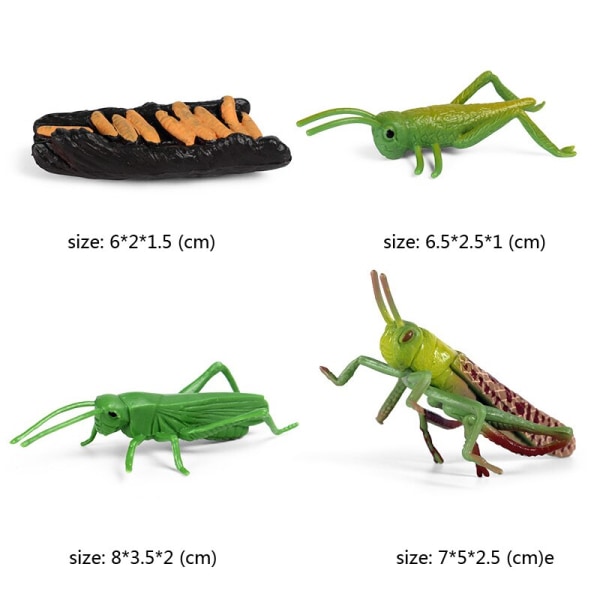 Kognitiva pedagogiska leksaker för barn Simulering Djur Insektsmodell Minidjur Fjäril Tillväxtcykel Ornament Black